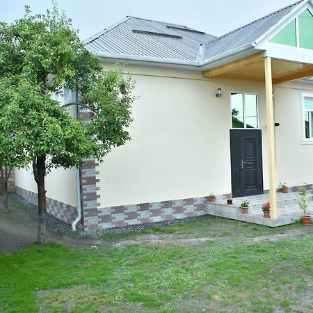 Villa_Nihad Gabala Luaran gambar